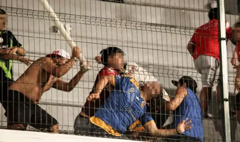 Veracruz and Tigres UANL fans fight in stands after match