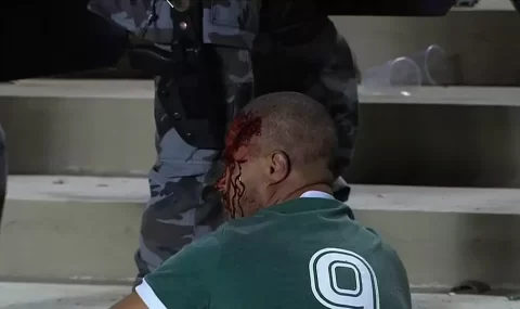 Goias and Vila Nova fans fight on terraces after final whistle