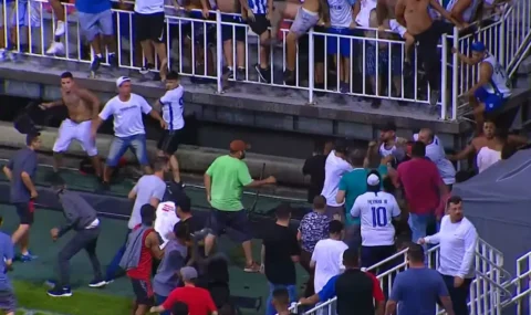 Fans fight on pitch during regional league match in Brazil